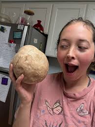 Olive oil garlic rosemary seared puffball recipe