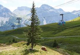 Die route vom erlebnisweg bärenland führt vom arosa bärenland zur tschuggenhütte, am bergkirchli vorbei und bis zur kulmwiese. 3 Tage Wandern Im Revier Lenzerheide In Graubunden In Der Schweiz