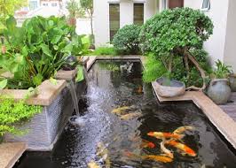 Begini Letak Kolam Ikan Menurut Feng Shui Kabar6 Com