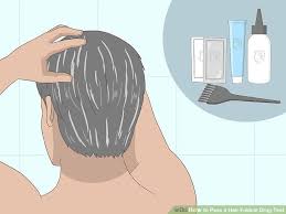 Pin On Hair Follicle Drug Test