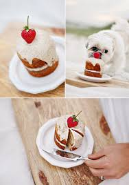 Healthy cake recipe for doggie birthdays. Mini Berry Almond Cake For The Doggies Dog Cake Recipes Dog Birthday Cake Recipe Dog Birthday Cake