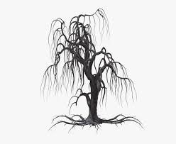 Tree Weeping Willow Drawing Clip Art Transparent Background Spooky Tree Png Png Download Kindpng Download in under 30 seconds. tree weeping willow drawing clip art