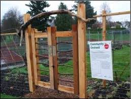 These families, with their houses in the style of english houses and victorian social dynamics, gave the suburbs a distinctly british profile. Banfield Community Orchard A Community Project Bears Fruit In Vic West Victoria And Region Community Green Map