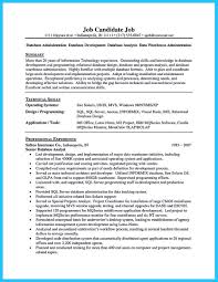Pin Di Resume Template