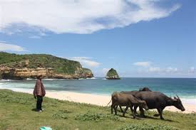 Sadap hp pacar, istri, atau suami bisa kita lakukan dengan berbagai cara. No Hp Pantai Sekunyit No Hp Pantai Sekunyit Kabupaten Kepulaan Aru Pantai