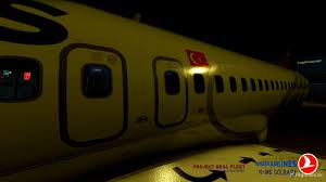 Image result for Medium Brown 2020 Fleet