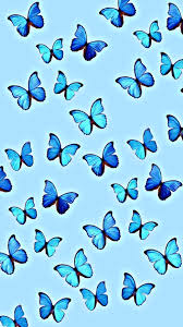 Poster wall iphone wallpaper tumblr aesthetic art collage wall picture collage wall prints tumblr is a place to express yourself, discover yourself, and bond over the stuff you love. Pin By Lexi Shoemaker On Aesthetic Iphone Wallpaper Blue Butterfly Wallpaper Butterfly Wallpaper Iphone Pretty Wallpaper Iphone