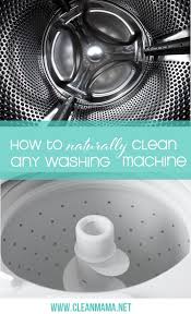 Getting rid of mold in the rubber seal. How To Naturally Clean Any Washing Machine Clean Mama
