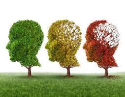 Alzheimer's disease is a progressive form of dementia. Alzheimer Demenz Patientenstudien De