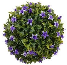 Of the nine divisions of classification, asiatic and oriental. High Quality All Types Of Flowers Pe Lily Flower Artificial Flower Factory For Sale Buy Artificial Flower Factory Lily Flower All Types Of Flowers Product On Alibaba Com