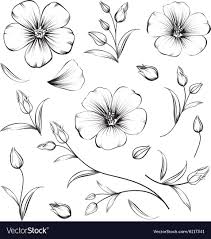 Nightwolfdezines ery prihananto ayaankabir free. Collection Of Sakura Flowers Set Cherry Blossom Bundle Black Flowers Of Sakura Isolated Over Whit Flower Art Drawing Flower Drawing Tutorials Flower Drawing