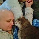 Fundraiser by Nicole Kunkel : Tierarztkosten für Blasen-Operation von Kater  Snipes