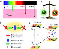 The company builds electric vehicles that use range extenders for a power supply. Structural And Process Controls Of Aiegens For Nir Ii Theranostics Chemical Science Rsc Publishing Doi 10 1039 D0sc02911d
