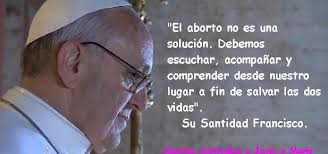 Resultado de imagen para imagenes defensa de las dos vidas