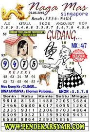 Dihalaman ini anda akan melihat gambar binatang kucing garong yang apik! Amlanyusuf Amlanyusuf Profil Pinterest