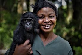 Set to appear on a 12 as the first release on bonobo's new label outlier. Bonobos And Humans Kindness May Have An Ancient Connection Goats And Soda Npr