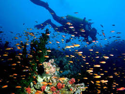 Kết quả hình ảnh cho nha trang