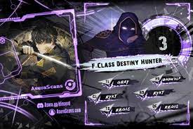 F class destiny hunter 3