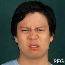 نتیجه جستجوی لغت [disgusted] در گوگل