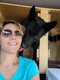 Mantrailing 78 Yvelines‎