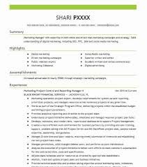 Great jobs come from great resumes. Manager Control And Reporting Resume Example Company Name Bethel Connecticut