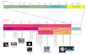 Https Dspace Uevora Pt Rdpc Bitstream 10174 8797 1 Medina 20et 20al Pdf