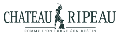 Château Ripeau Grand Cru Classé Saint-Emilion | Vignoble Saint-Emilion : Château Ripeau