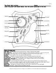 Check spelling or type a new query. Plantcellcolorpageworksheetandquizce 1c88ibr Pdf Ce 2 The Plant Cell To Color Name Color The Plant Cell Drawn Below Use The Colors Indicated In The Course Hero