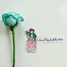 سنحيا في امل Iphone Wallpaper Quotes Love Arabic Quotes Funny Arabic Quotes