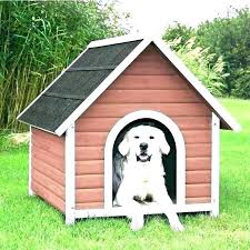 Pet Igloo Dog House Veganlife