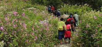Along with the picturesque view of valley of flowers in the august month, the trek to hemkund sahib in august is also an added bonus to your august trip at valley of flowers. Valley Of Flowers Weather Himalayan Climber