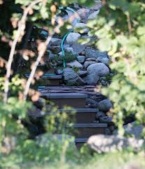 Close encounters of the bear kind = manifestation of my wildest dreams  (Part 1 of 3)