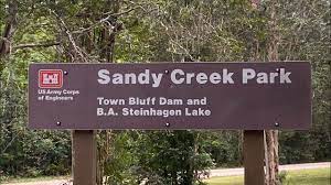 Sandy__woody