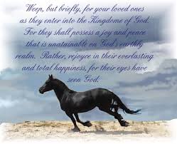 Pin By Amanda On Quotes And Other Bits Inspirational Horse Quotes Horse Memorial Horse Quotes