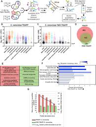 Defining The Rna Interactome By Total Rna Associated Protein