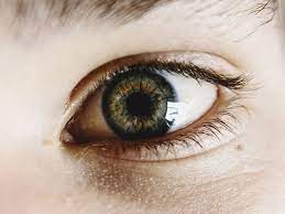 They account for about 28% of all cancers in children. New App Can Detect Early Signs Of Eye Cancer In Kids Technology Gulf News