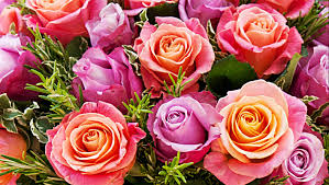 Desktop 3d wallpaper hd rose download 3d hd colour design. Flower Bunches Delivery Bunch Of Flowers Hand Delivered