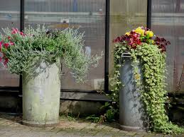 Alte Milchkannen Bepflanzen Garten Anders Ungewohnlich Mulltonnen Als Pflanzkubel Alte Milchkanne Zinkwanne Bepflanzen Pflanzkubel