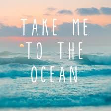 Bueno, kelly y donna querían animarme y pensaron en traerme. Take Me To The Ocean Home Facebook