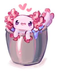 Axolotl is an real animal, thats means i can make minecraft cow fanart? Hi I M Peaches From Pluto Bucket Axolotl
