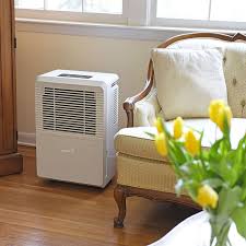 Our top charcoal and gas barbecues for a sizzling summer 9 Best Dehumidifiers 2021 The Strategist