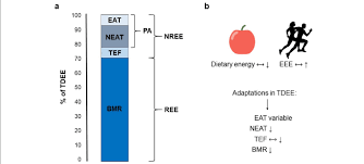 Components Of Total Daily Energy Expenditure And Adaptions To Low Download Scientific Diagram
