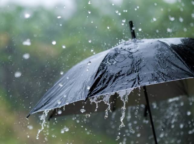 महाराष्ट्रात पुन्हा मान्सून सक्रिय! पुढील 24 तास महत्त्वाचे; ‘या’ जिल्ह्यांना ऑरेंज-यलो अलर्ट