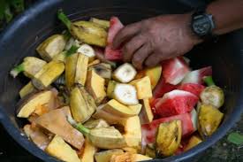 Jevero this is the first session of english food4rhino webinar series: Indonesia The Sumatran Rhino Sanctuary Save The Rhino