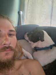 Lost Dog in Carlinville Area