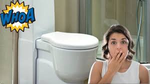 Why Is My Toilet Seat Turning Blue Explained Nowledge Kings