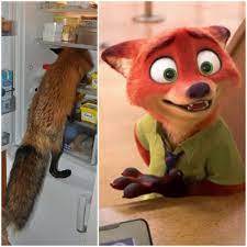 Pin On Zootopia
