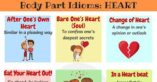 Below Is The List Of Useful Hear Idioms With Their Meaning And Examples In English Idioms And Phrases Idioms Learn English For Free