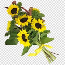 Bouquet of sunflowers and roses drawing. Yellow Tulips And Sunflowers Tulips Flower