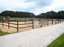 Poda Tampa Zaun Paddock Mit Den Halbriegelzaunen Vom Typ Tampa Realisieren Wir Zaunanlagen Fur Koppeln Paddocks Oder Reitpla Outdoor Outdoor Decor Home Decor